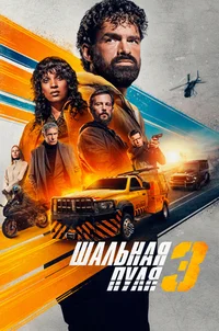 Шальная пуля 3